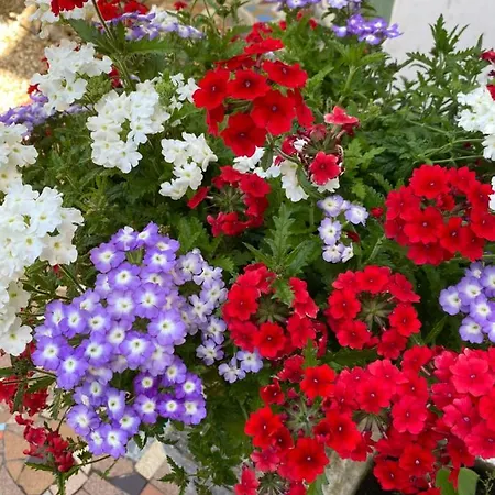 D'hotes Du Carre Des Arts Rum i privatbostad Honfleur