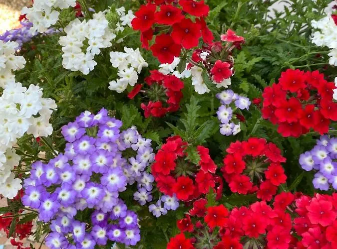 D’hôtes Du Carré Des Arts Séjour chez l'habitant Honfleur