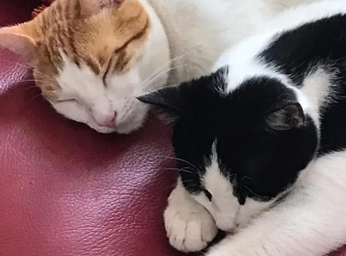 Habitación en casa particular D’hôtes Du Carré Des Arts *